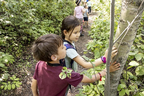 John Janzen Nature Centre Programs